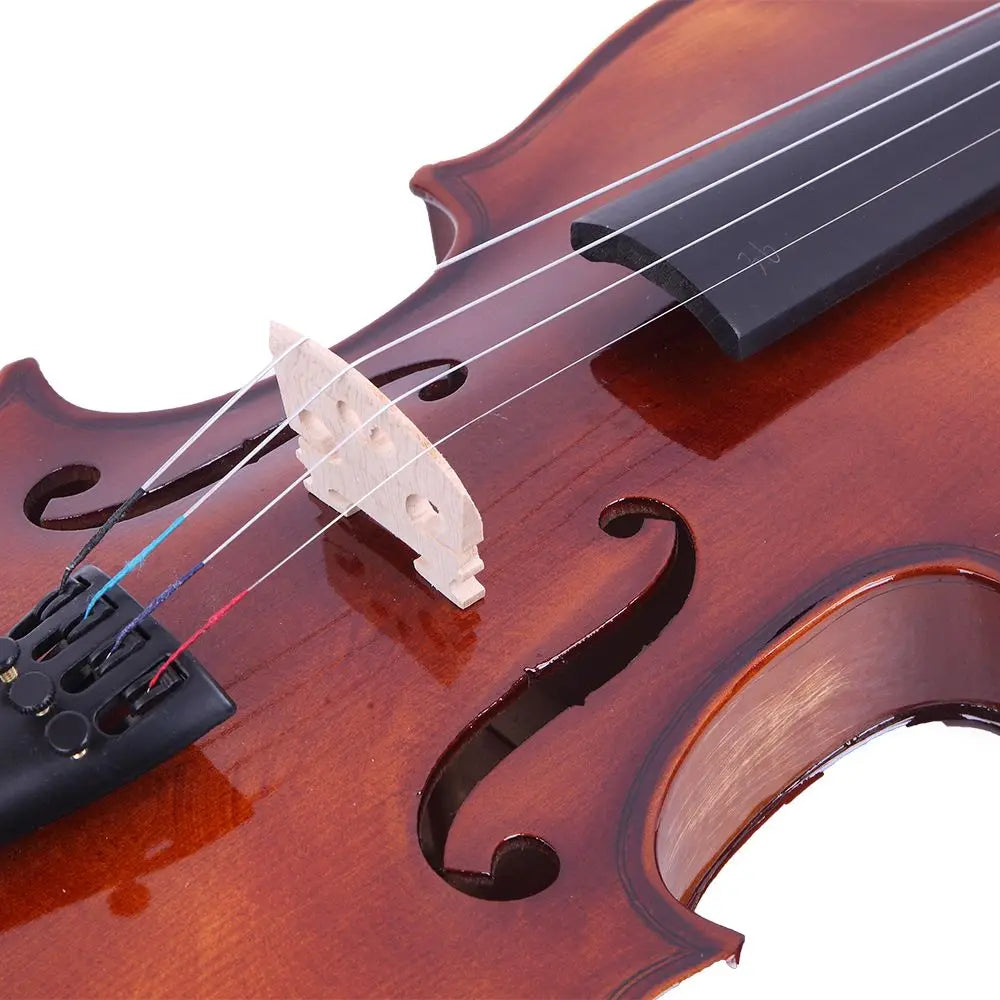 Close-up of a violin's f-hole and bridge on a white background
